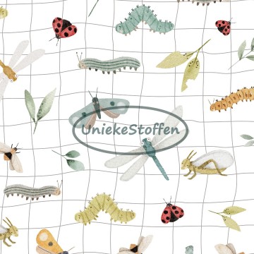 kriebelbeestjes ruit