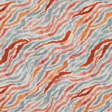 Colzebra1
