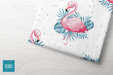 Flamingos