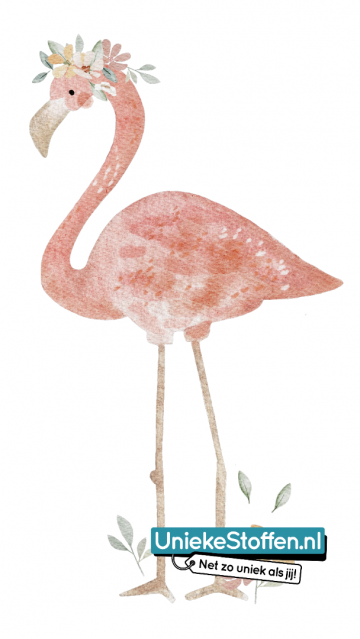 Fleurigeflamingo