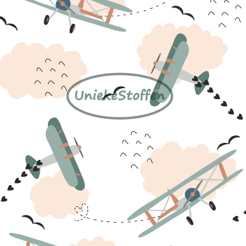 For the love of flying2