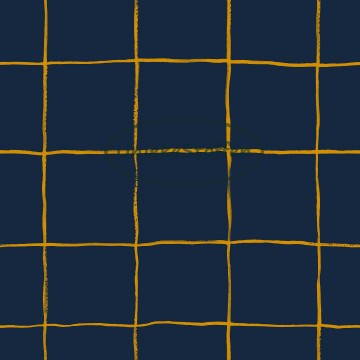 Navygrid