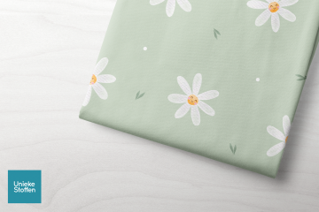 vrolijke madeliefjes