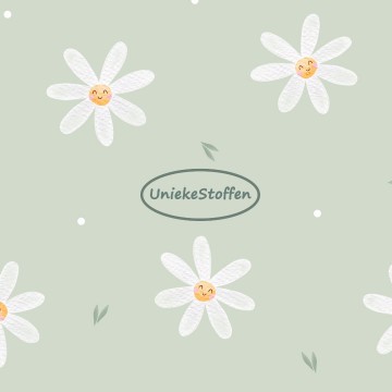 vrolijke madeliefjes